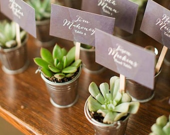 Succulent Favors , Succulent Planters | Mini galvanized buckets | Wedding Favor, BUCKETS ONLY