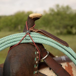 Rust Western Cactus Rope Bungee Strap