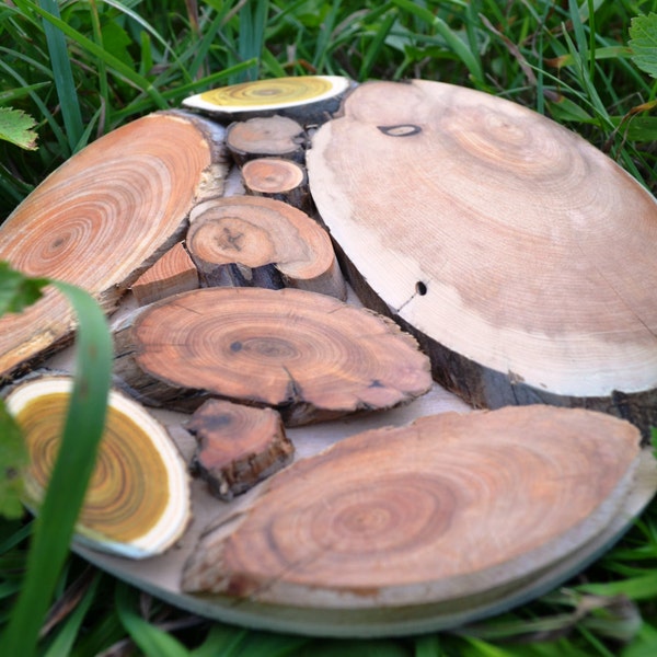 Juniper montaña rusa de madera bebida bar mesa de té trivet caliente estera de la taza está parado para