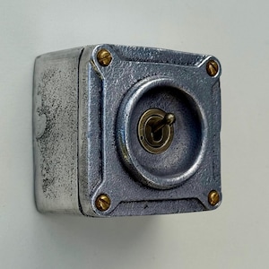 シングルギャングソリッドメタルコンジットトグルライトスイッチ - インダストリアルヴィンテージクラブツリー