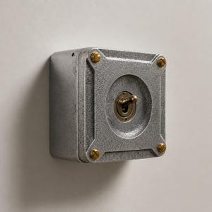 Interruptor de luz de palanca de 2 vías de metal fundido macizo de una sola unidad – Conducto industrial