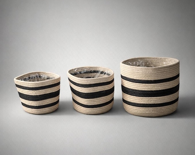 Handwoven Stripe Basket Planter Set (3pc) - Natural Fibre with Liner