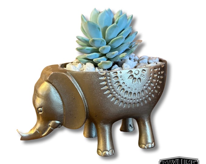 Maxlume - Elephant Solid Cast Brass Metal Planter Pot for Succulents & Plants | Safari Planter | Animal Pot | Unique Planter |