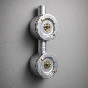 Interrupteur double pour conduit en fonte massif | Style industriel vintage à 2 voies