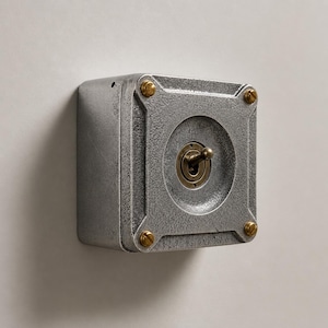 Interruptor de luz de palanca de 2 vías de metal fundido macizo de una sola unidad – Conducto industrial