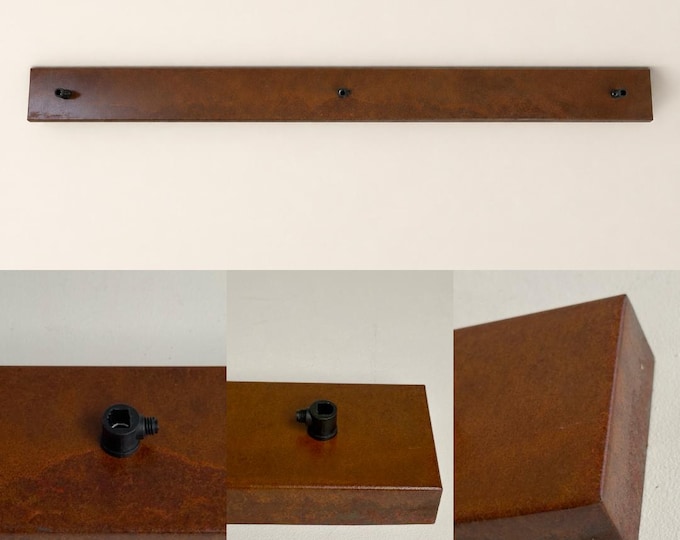 Rusted Steel Ceiling Rose Track Light 3 Outlet