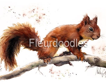 Squirrel personalizable Fine Art Print of my Original Watercolor Painting - Fleurdoodles by Maike Geller