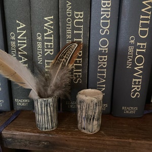 May include: Two small, white ceramic vases with black stripes, sitting on a wooden shelf in front of a row of books with gold lettering. The books are titled "Wild Flowers of Britain", "Birds of Britain", "Butterflies", "Water Life of Britain", and "Animals of Britain". A brown feather is resting on the shelf between the vases.