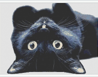 Black Cat Cross Stitch Pattern: Modern Animal Design (PDF Download)