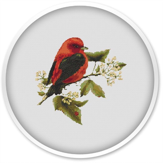 Bird Cross Stitch Pattern| Stitching Design (Instant PDF Download)| Unique Bird Scheme