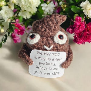 Positive Poop Personalised Сrocheted, Amigurumi Positive Poo, Motivational gift, Handmade present for friend sister brother dad, cute