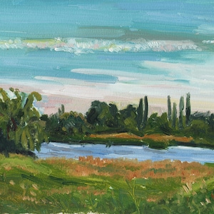 Saksagan river Original oil painting Landscape artwork River painting Saksagan art Oil sketch Nature art 8&quot; x 12&quot; inches by Bogdan Shiptenko