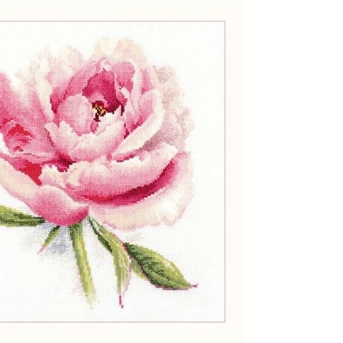 Cross Stitch Kit by Alisa Tender Peony Flowers Cross Etsy