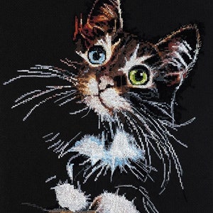 May include: A close-up of a cat with brown, black, and white fur. The cat has one blue eye and one green eye. The cat is looking up and to the right. The cat's whiskers are visible.