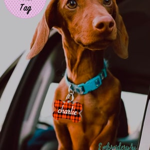 Personalized Dog Tags|Dog Bone Tag|Custom Pet Tag|Dog Bone|Dog ID Tag|Pet ID Tag|Custom Pet ID