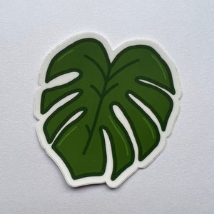 Monstera sticker