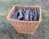StagHorn Cholla Wood - Naturals