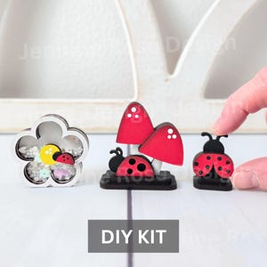 May include: A DIY kit featuring three decorative items: a flower-shaped shaker with ladybugs, a pair of red mushroom figurines with ladybugs, and a ladybug figurine. The items are made of wood and have a whimsical design.