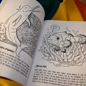 Animals in Colour Queer Colouring Book - Etsy
