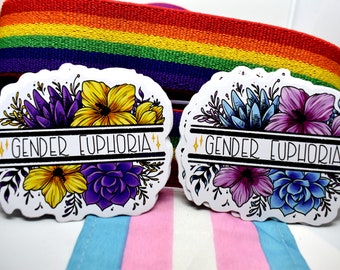 Könnte beinhalten: Zwei runde Aufkleber mit floralen Designs und dem Text "Gender Euphoria" in schwarzer Schrift. Die Aufkleber befinden sich auf einem Hintergrund aus regenbogenfarbenem Stoff und rosa-blauem gestreiftem Stoff.
