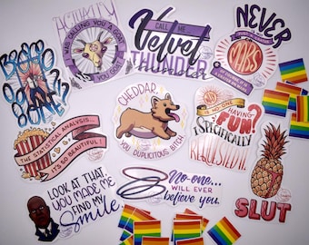 Paquete ecológico de más de 10 pegatinas B99 del Capitán Raymond Holt