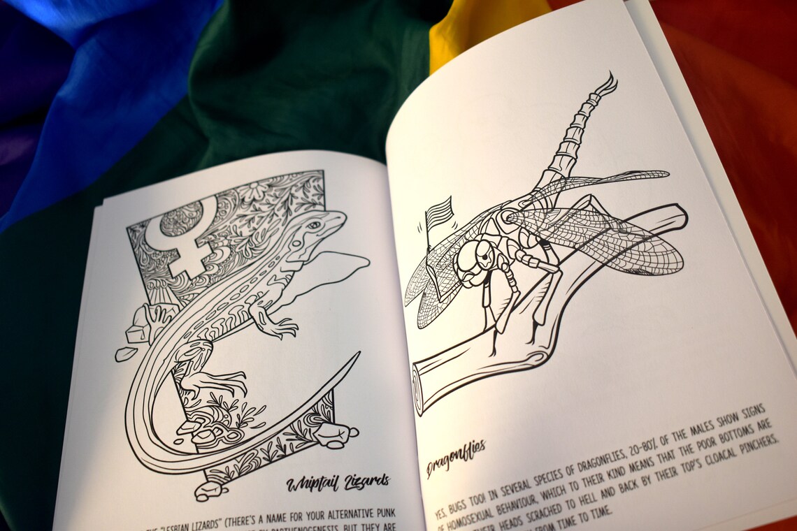 Animals in Colour Queer Colouring Book | Etsy