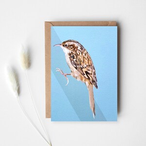 Treecreeper Card - Treecreeper - Birthday Card - Woodland Animal - Bird Card - Treecreeper Greeting Card - Greeting Card - GCW013