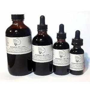 Ginkgo Biloba Tincture/Extract