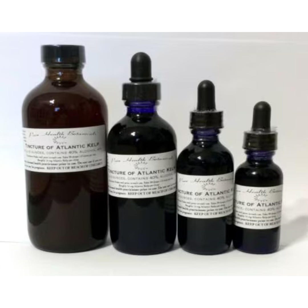 Atlantic Kelp Tincture, Extract, Thyroid, Seaweed, Multiple Sizes - Etsy