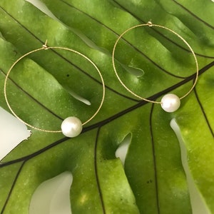 Edison Pearl earrings - Hoop earrings - Gold filled sparkle hoops with Edison pearl earrings Makes a great gift Available in 2 sizes