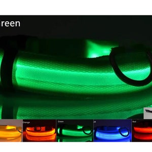 USB Rechargeable LED Pet safety collars Green