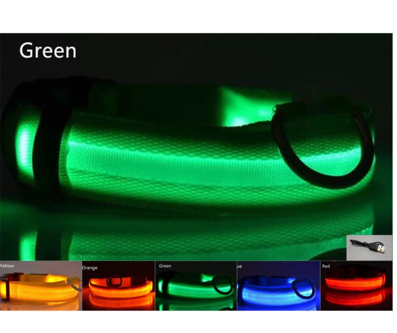 USB Rechargeable LED Pet safety collars Green