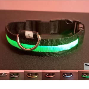 USB Rechargeable LED Pet safety collars multicolor light