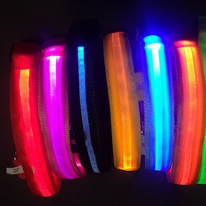 USB Rechargeable LED Pet safety collars image 1