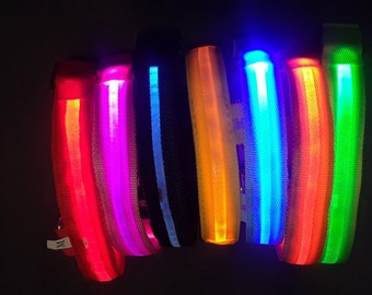 USB Rechargeable LED Pet safety collars