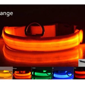 USB Rechargeable LED Pet safety collars Orange