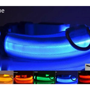 USB Rechargeable LED Pet safety collars Blue