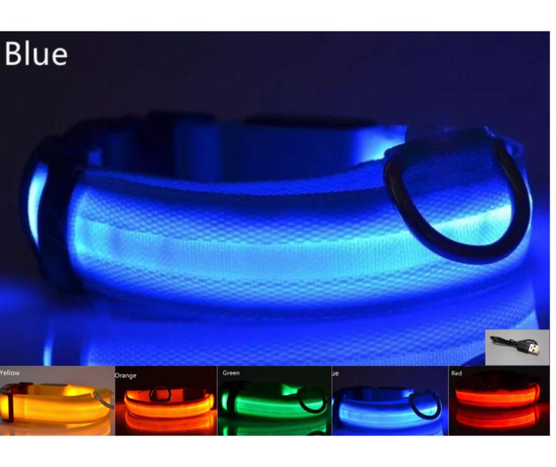 USB Rechargeable LED Pet safety collars Blue