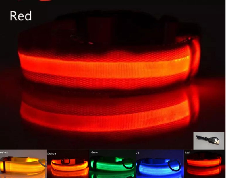 USB Rechargeable LED Pet safety collars Red