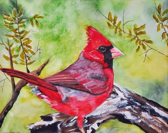 Original watercolor painting, "Red Cardinal"