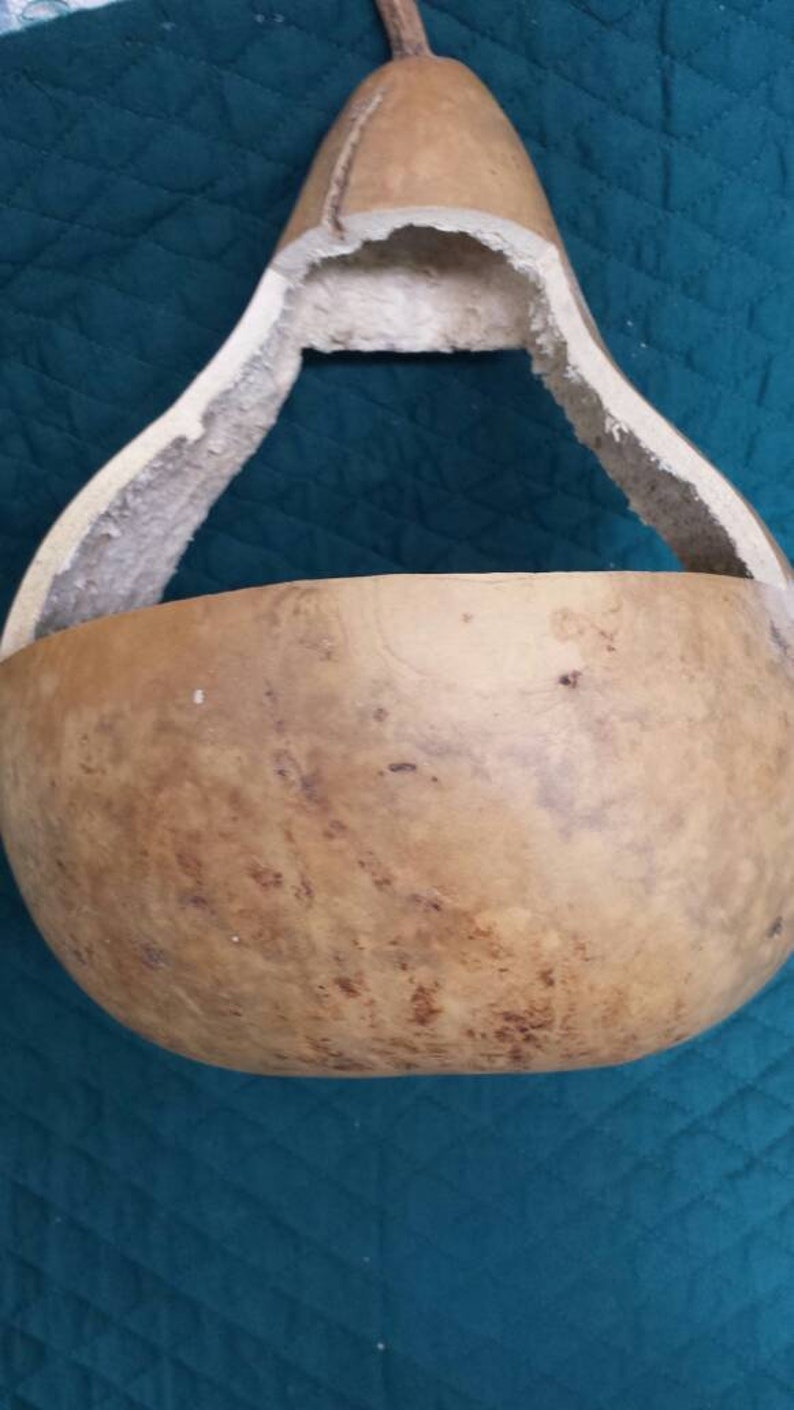 Craft Ready Basket Gourd Basket Craft ProjectUnique Decoration Birthday GiftFathers Day Gift