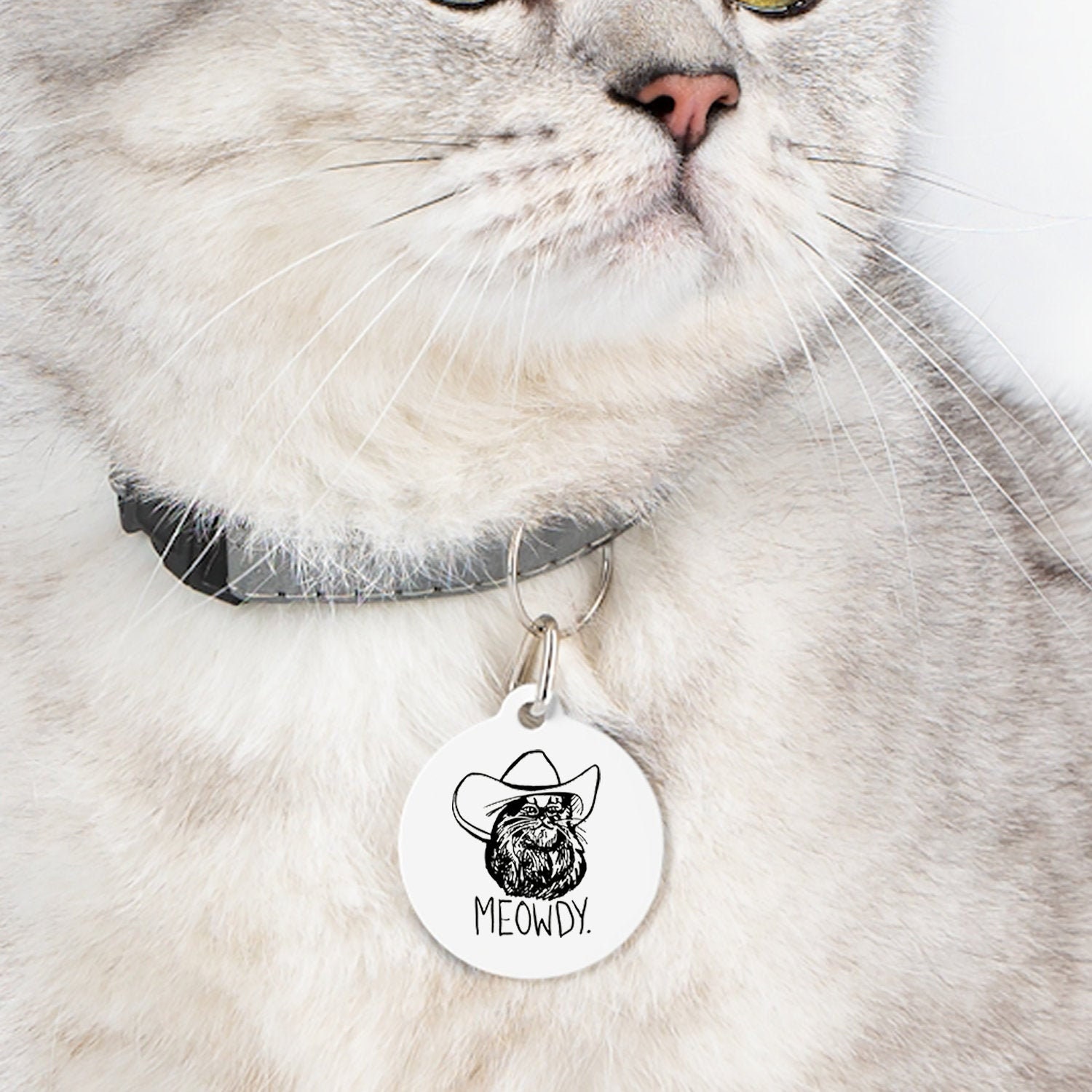 Cat load. Canva Мем. Loading Cat