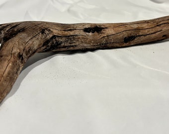 Large Driftwood (18") Beautiful Unique Terrarium Mantle Accent Decor Piece - From California Coast