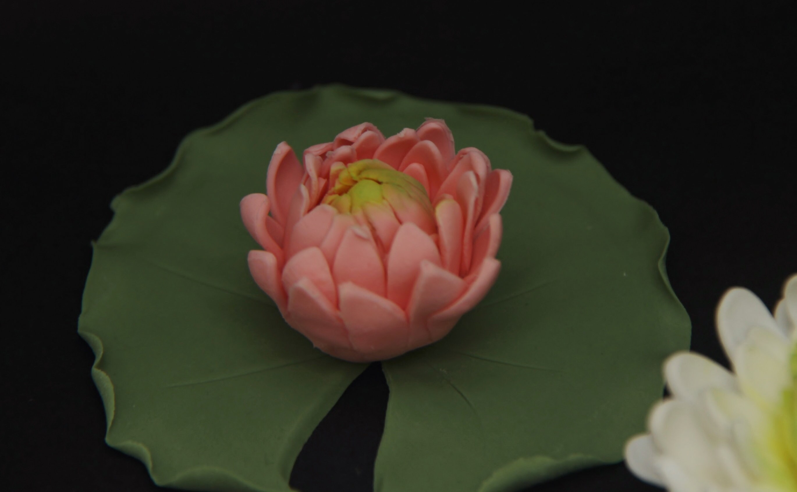 Water Lily Flowers Edible Custom Made. Gumpaste Flowers. Etsy UK