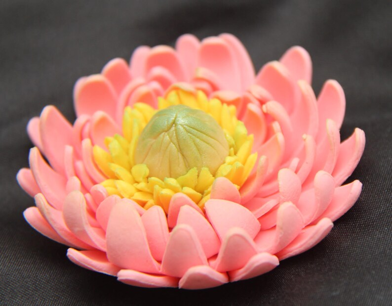 Water lily flowers edible custom made. gumpaste flowers. Etsy