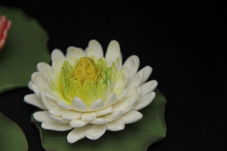 Water lily flowers edible custom made. gumpaste flowers. Etsy