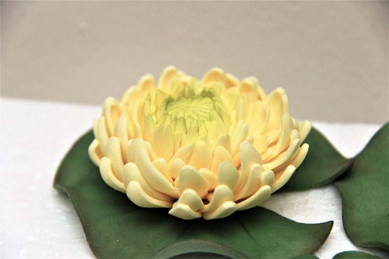 Water Lily Flowers Edible Custom Made. Gumpaste Flowers. Etsy