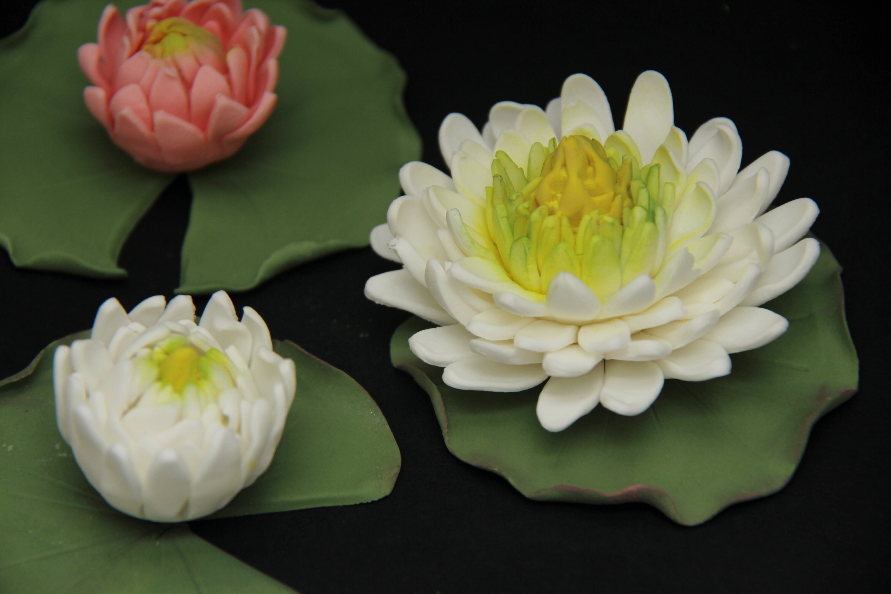 Water lily flowers edible custom made. gumpaste flowers. Etsy