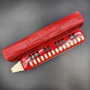 Hohner Melodica Alto - Etsy