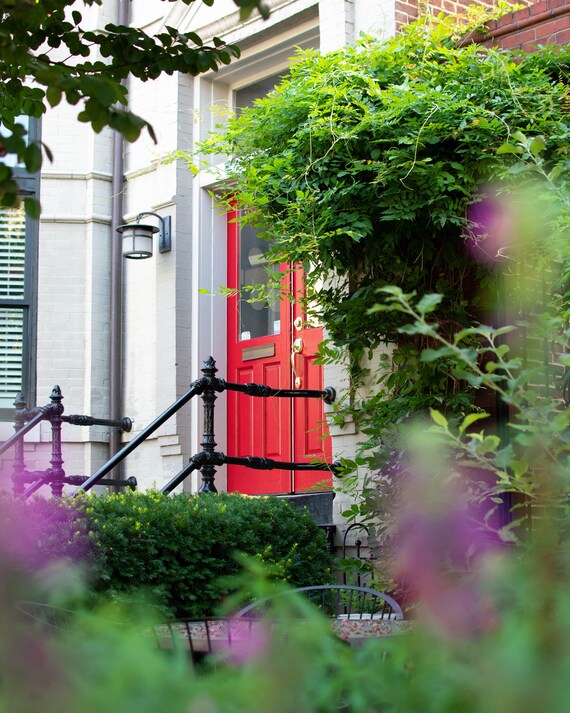 Red Door Purple Flower City Photograph Print Door Etsy